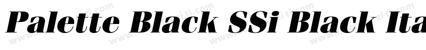 Palette Black SSi Black Italic字体转换